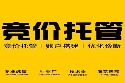 提升关键词竞价排名效果：企业成功案例剖析